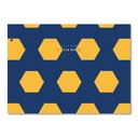 CARPETA 2 TAPAS Nº5 RY GOALS