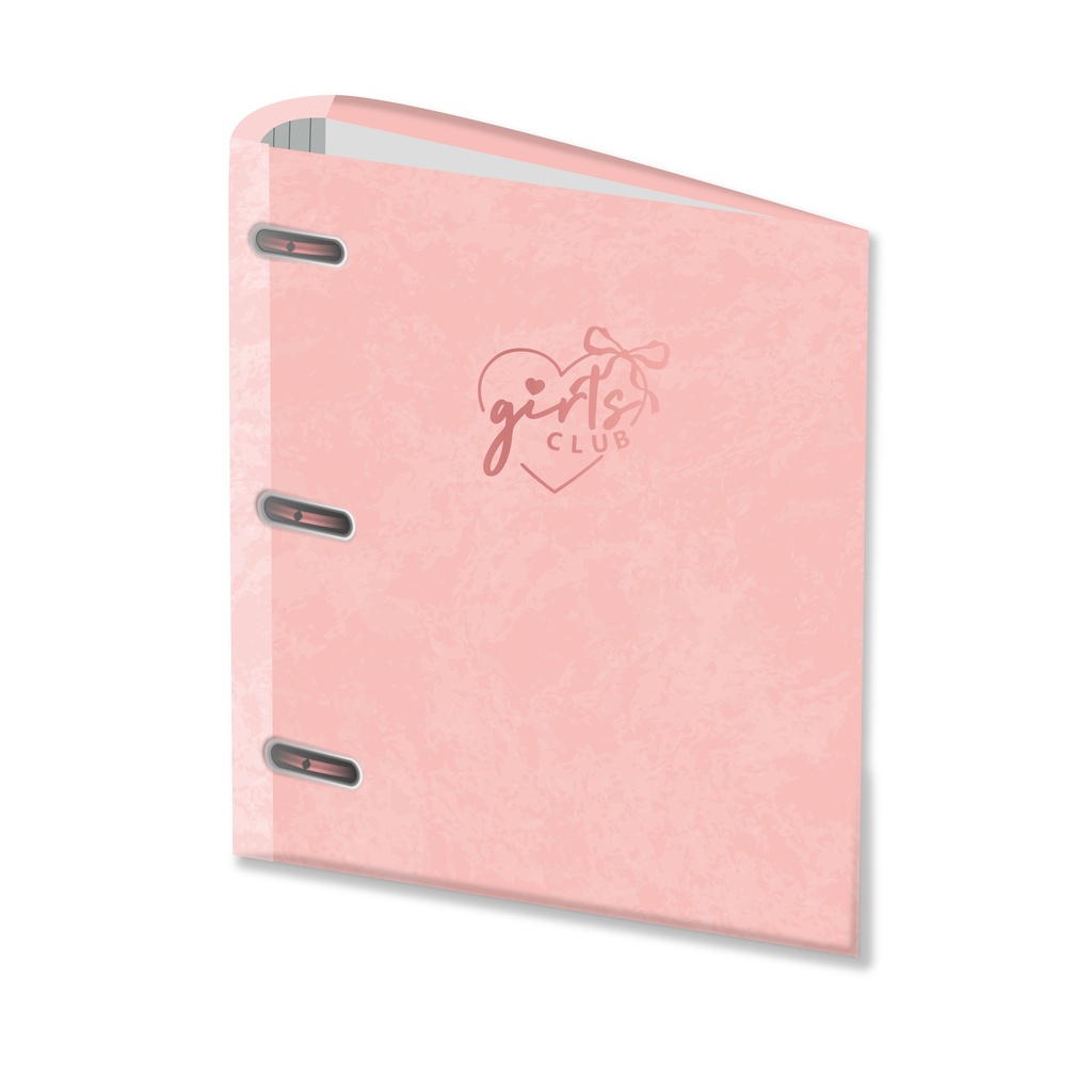 CARPETA RY 3X40 VELVET