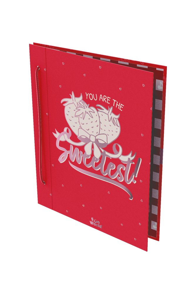 CARPETA 2 TAPAS Nº3 FW SWEET