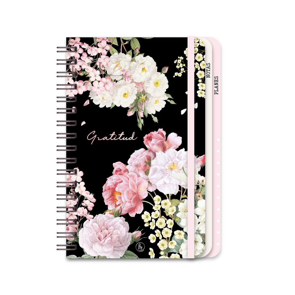 CUADERNO RY 14X20 ANILLADO CON SOLAPA 96 HOJAS DELUXE 1097