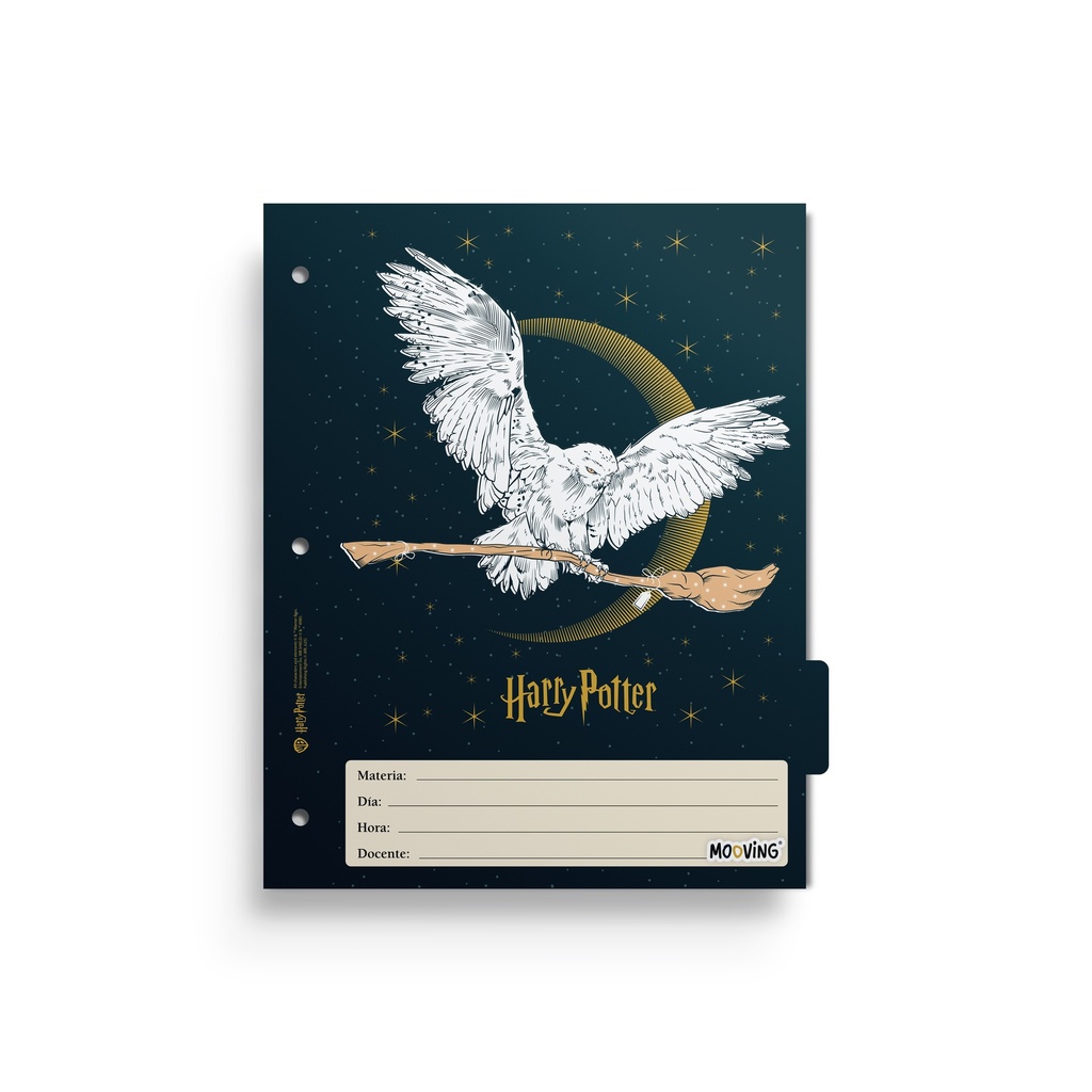 SEPARADOR ESCOLAR MOOVING X6 HARRY POTTER