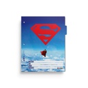 SEPARADOR ESCOLAR MOOVING X6 DC