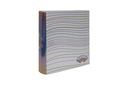 CARPETA 3X40 REXON RAINBOW COLOR