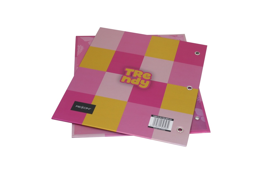 CARPETA 2 TAPAS Nº3 REXON TRENDY