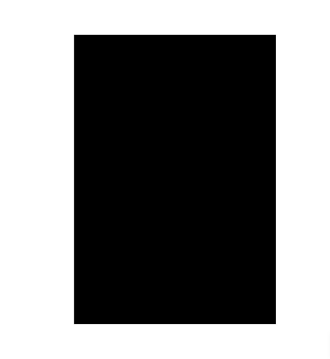 TAPA A4 X50 NEGRO