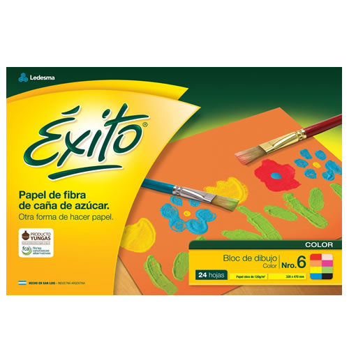 BLOCK EXITO Nº6 24 HOJAS COLOR