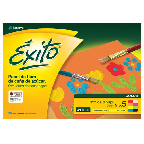 BLOCK EXITO Nº5 24 HOJAS COLOR