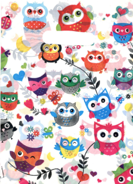 BOLSA RIÑON 20X30 BUHOS X50