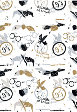 BOLSA RIÑON 25X35 HARRY POTTER X50