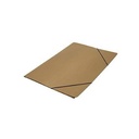 CARPETA 3 SOLAPAS CONGRESO OFICIO CON ELASTICO X 25 UNIDADES