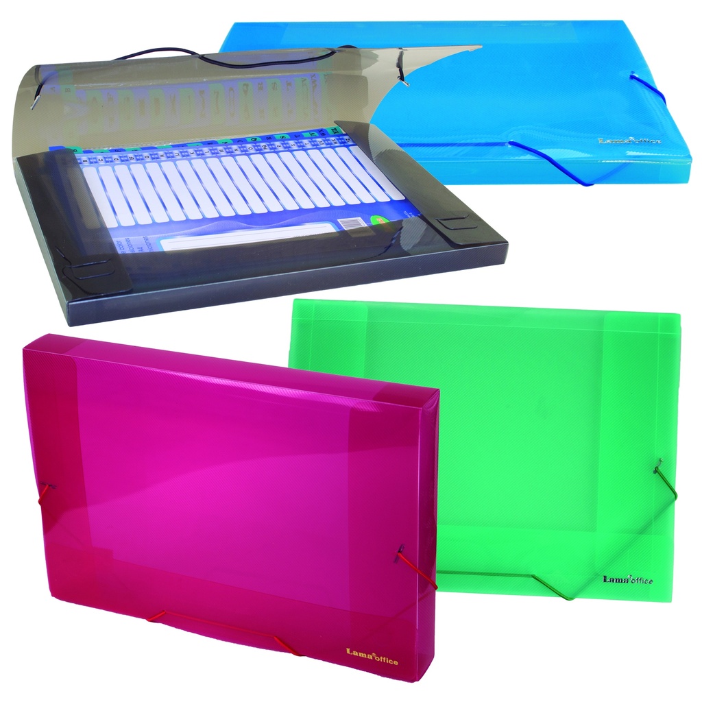 CARPETA CON LOMO A4 Nº2 LAMA COLOR PLASTICA