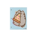 CARPETA 2 TAPAS Nº3 MOOVING PUSHEEN