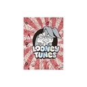 CARPETA 2 TAPAS Nº3 MOOVING LOONEY TUNES