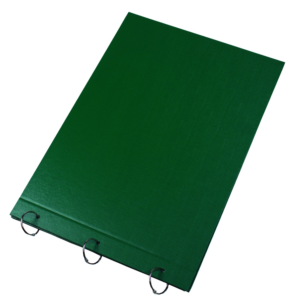 CARPETA LAMA 2 TAPAS Nº6 PVC VERDE