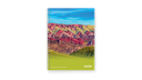 CUADERNO AVON CON ESPIRAL 22X29 84 HOJAS CUADRICULADO* ($1755 FINAL LLEVANDO BULTO)