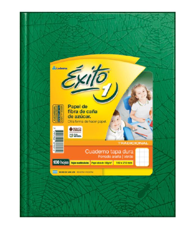 CUADERNO EXITO E1 ARAÑA 100H VERDE RAYADO