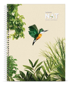 CUADERNO LEDESMA NAT TAPA BLANDA 22X29 70 HOJAS RAYADO