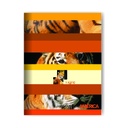 CUADERNO AMERICA TAPA FLEXIBLE 16X21 24H RAYADO