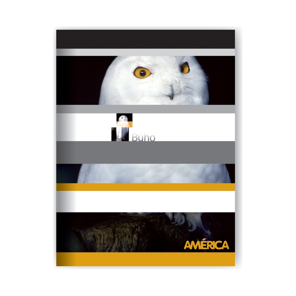 CUADERNO AMERICA TAPA FLEXIBLE 16X21 48H CUADRICULADO