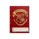 CUADERNO MOOVING 16X21 T/F 48H HARRY POTTER