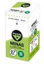 MINAS PIZZINI 0.7 B TUBO X12 MINAS
