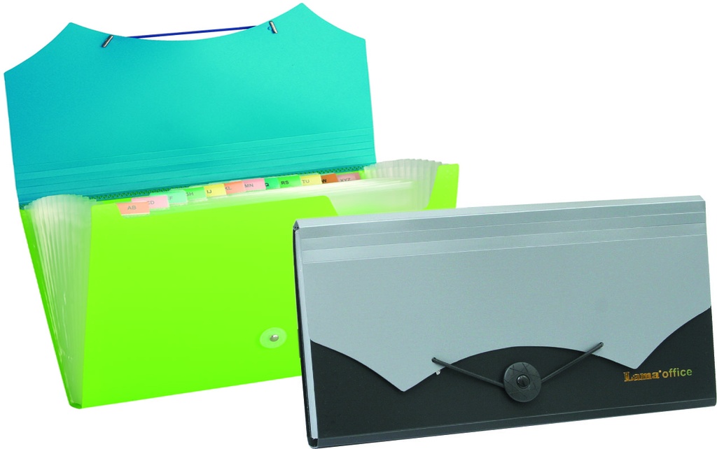 CLASIFICADOR LAMA 12 DIVISIONES COMBINADO CHEQUE