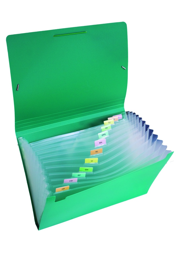 CLASIFICADOR LAMA 12 DIVISIONES OFICIO VERDE