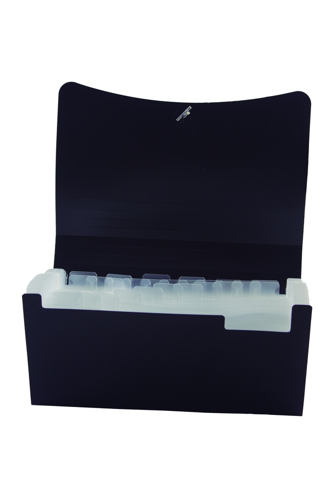 CLASIFICADOR LAMA 31 DIVISIONES CHEQUE