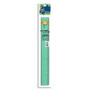 REGLA PIZZINI ESTUDIO 30CM