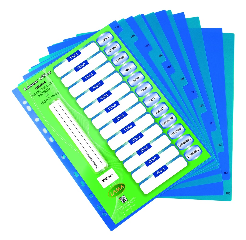 SEPARADOR A4 LAMA MENSUAL 12 POSICIONES X 150 MICRONES