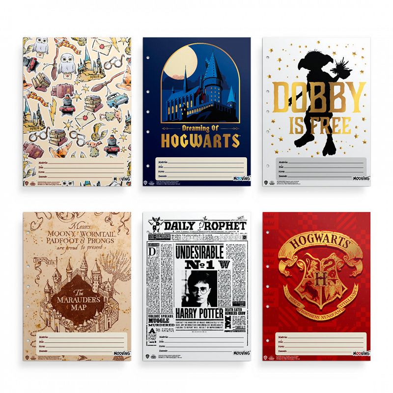 SEPARADOR ESCOLAR MOOVING HARRY POTTER