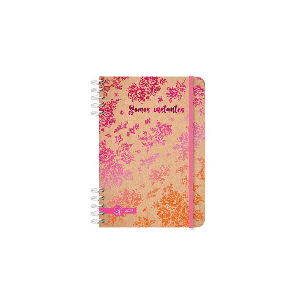 AGENDA RY 12X17 2DXP 8038 KRAFT