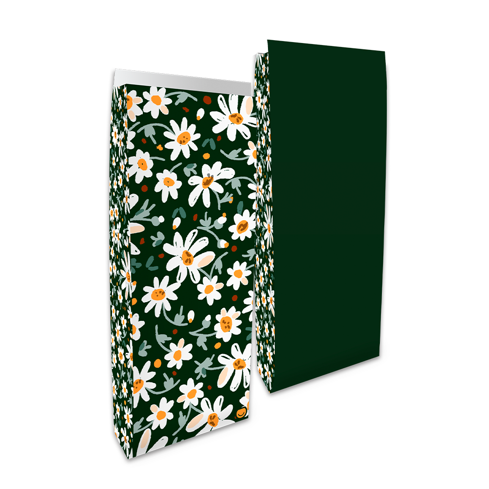 SOBRE BOLSA RP DAISIES X10 16X6X36CM