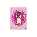 CARPETA MOOVING Nº3 2 TAPAS LOTSO