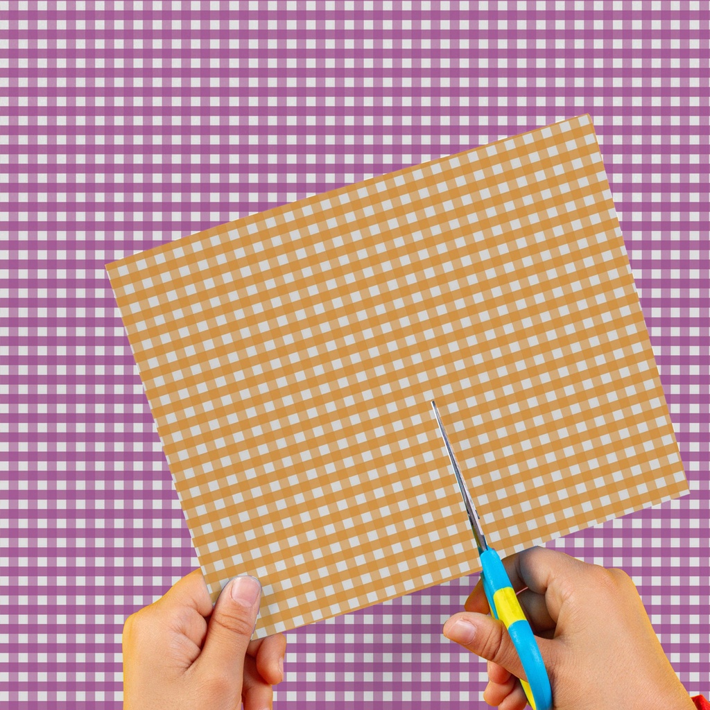 CARTULINA ENTRETENIDA MURESCO X10 CUADROS VIOLETA-NARANJA