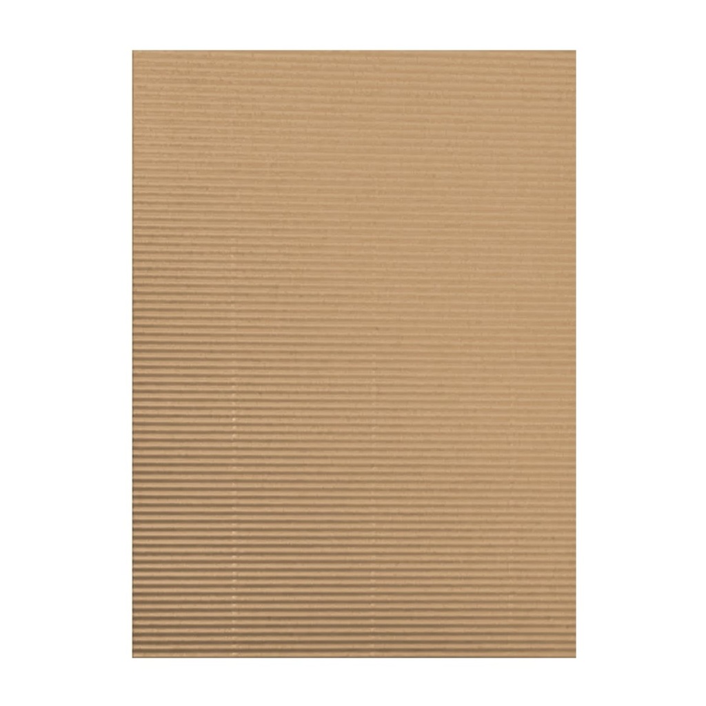 MICROCORRUGADO CHICO 22x34cm X 10 UNIDADES KRAFT