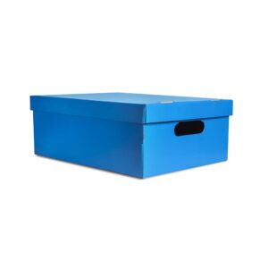 CAJA MEDIANA LISA AZUL
