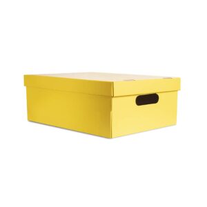CAJA MEDIANA LISA AMARILLO
