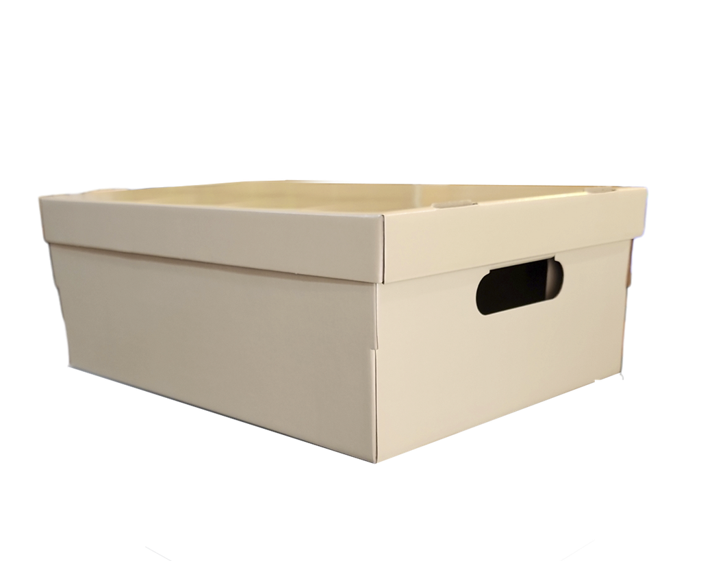 CAJA MEDIANA PASTEL BEIGE