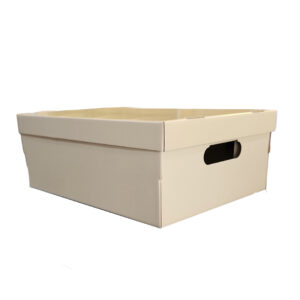 CAJA GRANDE PASTEL BEIGE