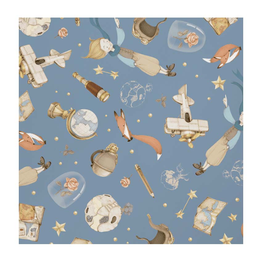 PAPEL PARA REGALO MURESCO 70X100CM X10 PRINCIPITO