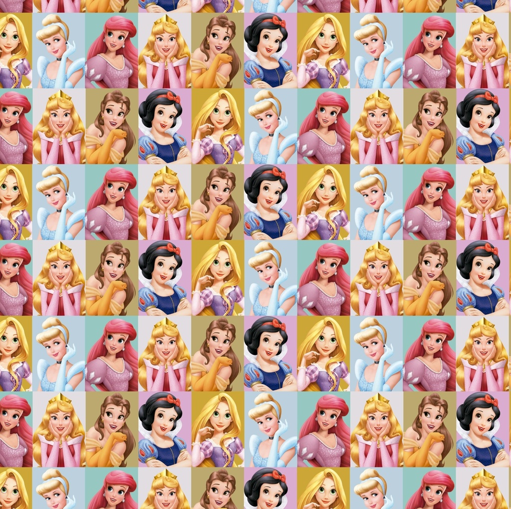 AFICHE MURESCO FANTASIA 70X100CM X10H PRINCESS FACE