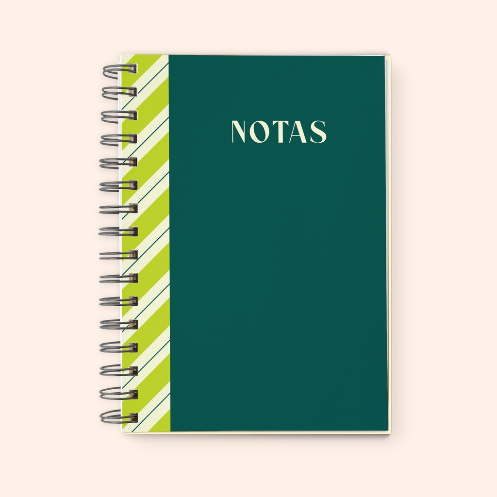 CUADERNO FERA 16X21 ANILLADO NOTAS 96H LISO