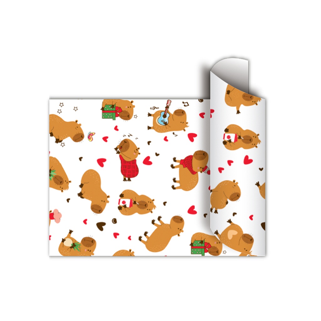 BOBINA RP MOOD CAPY 40CMX100MTS