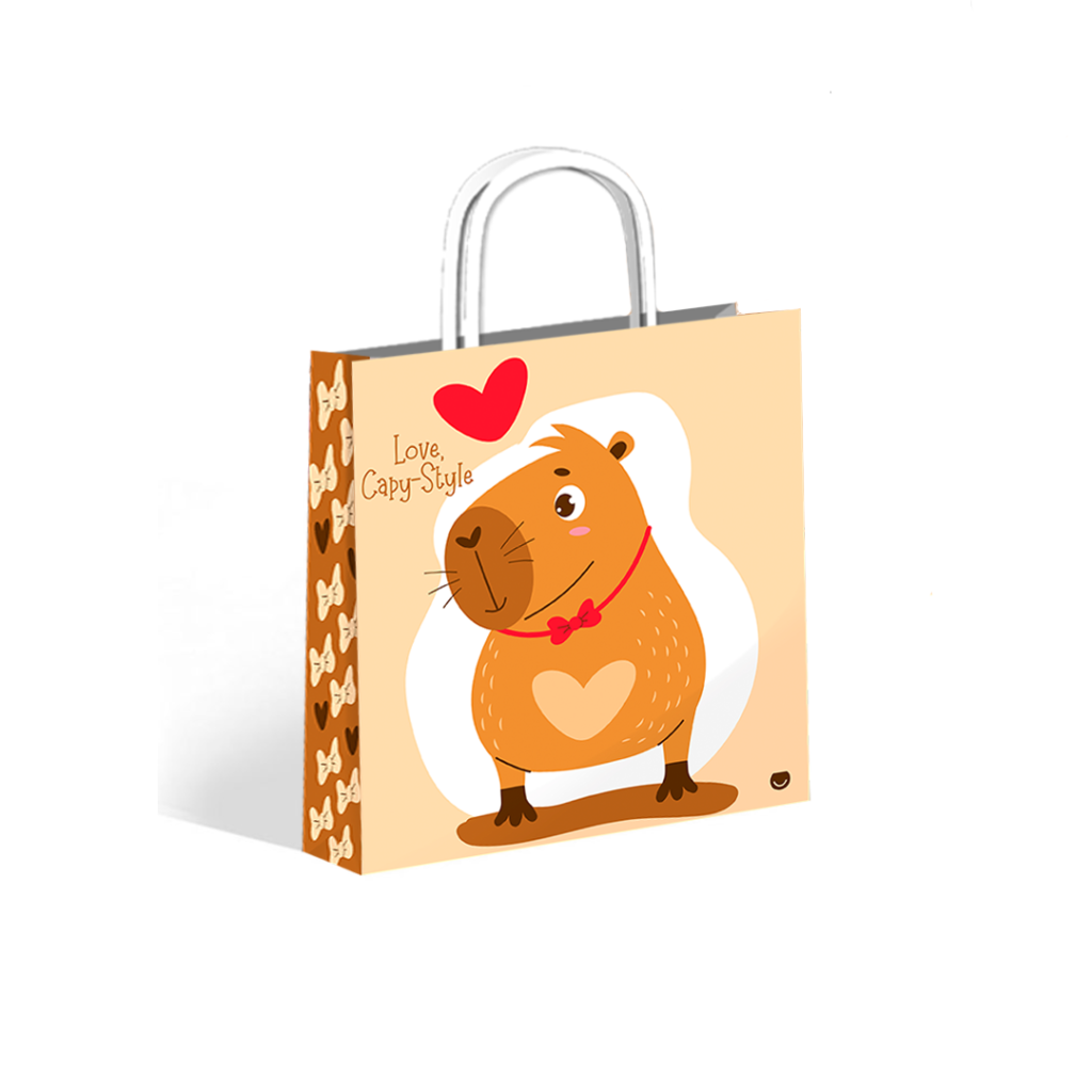 BOLSA RP MOOD CAPY 22X10X24