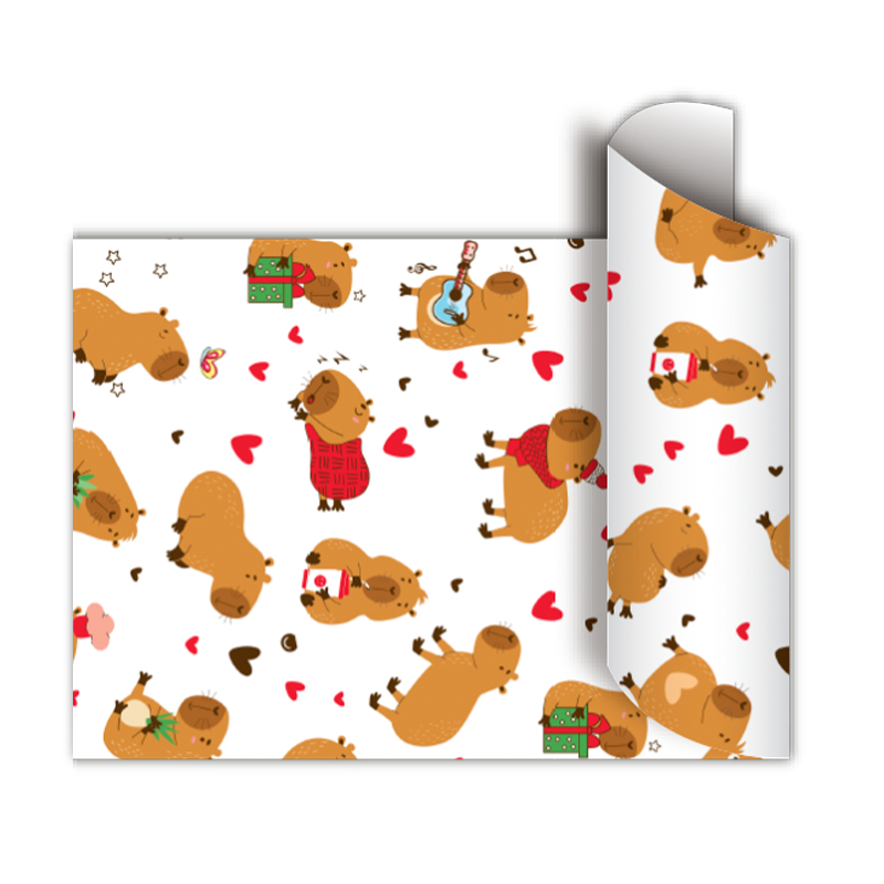 BOBINA RP MOOD CAPY 60CMX100MTS