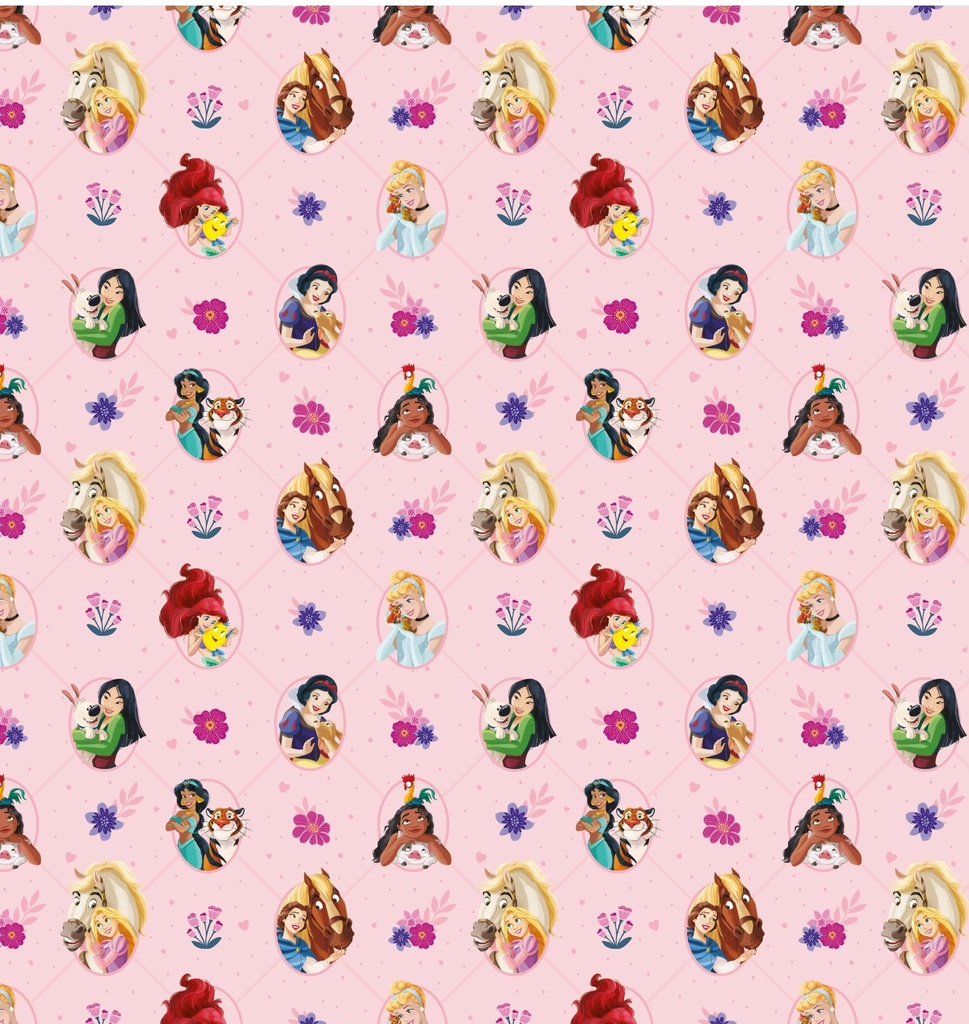 PAPEL PARA REGALO MURESCO 70X100CM X10 PRINCESAS PET FLIENDLY