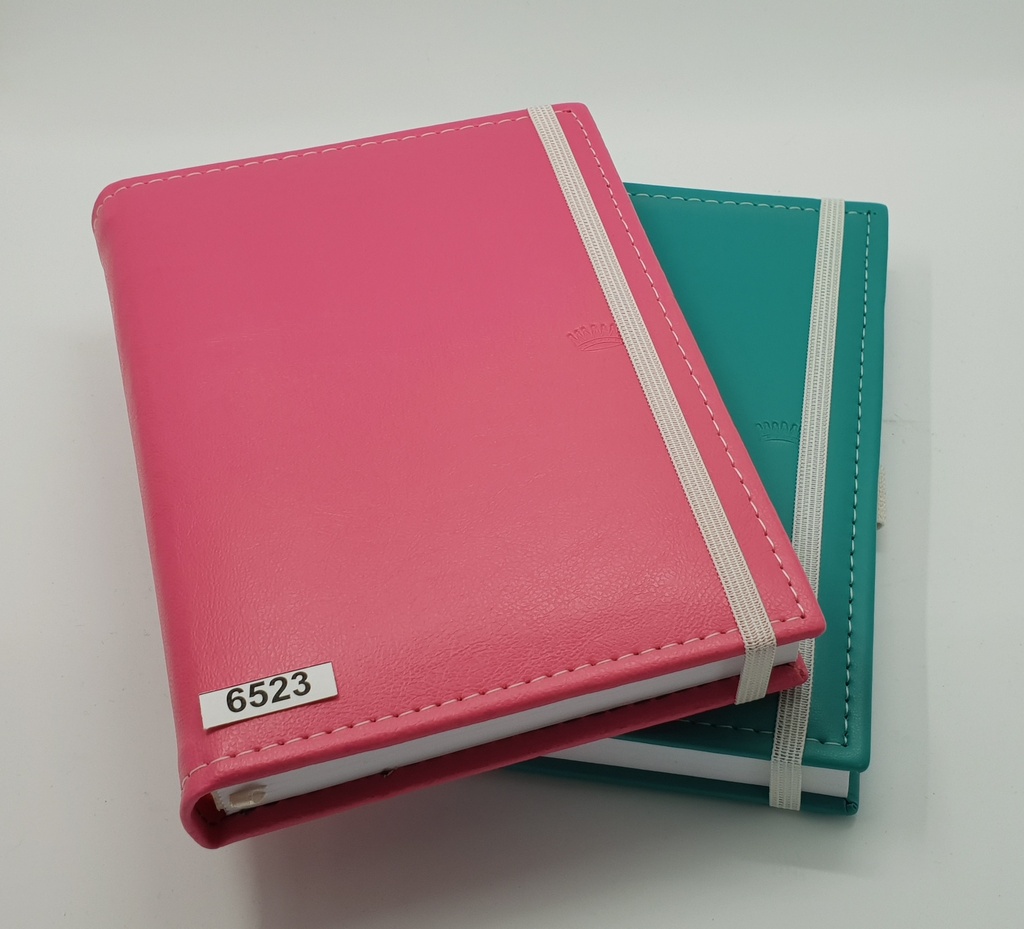 AGENDA NIVEL 10 14x19 DXP CUERO PAPEL CON ELASTICO COLORES SURTIDOS