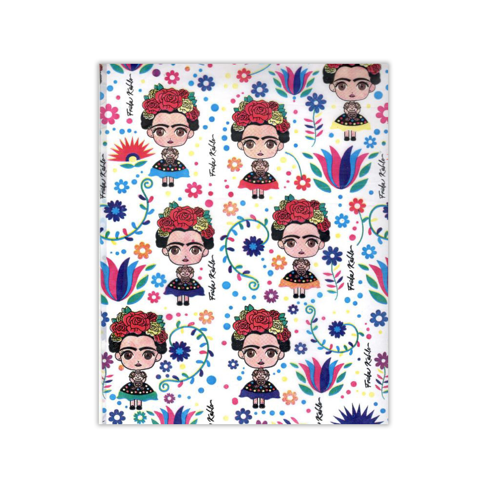 BOLSA RIÑON 25X35 FRIDA X50