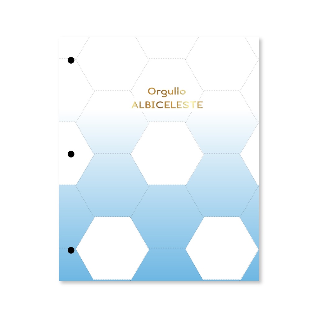 CARPETA 2 TAPAS Nº3 RY GOALS